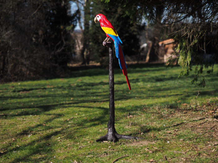 Statuie bronz, Papagal în copac (capul sus) [2]