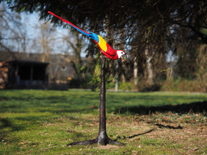 Statuie bronz, Papagal în copac (cu capul în jos) [2]