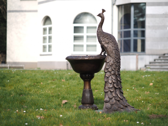 Statuie bronz, Păun pe vază [8]