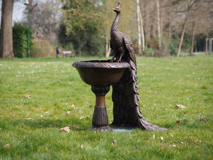 Statuie bronz, Păun pe vază [2]