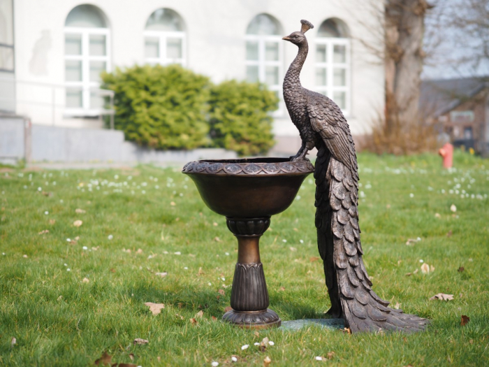 Statuie bronz, Păun pe vază [5]