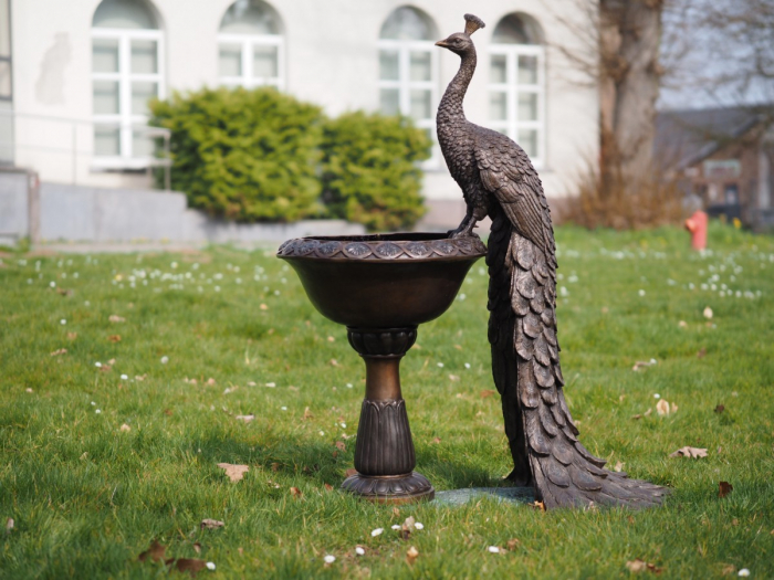 Statuie bronz, Păun pe vază [6]