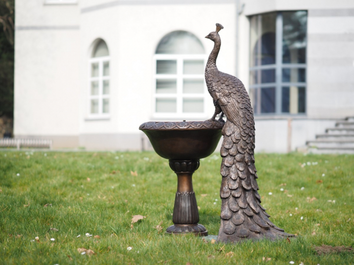 Statuie bronz, Păun pe vază [7]