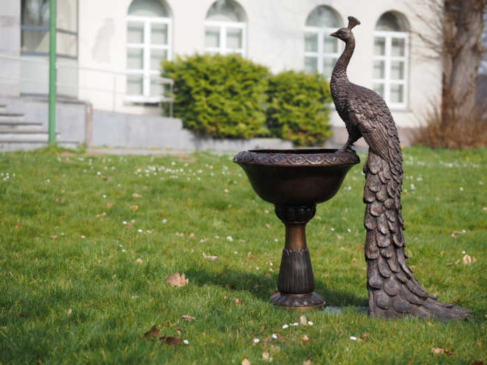 Statuie bronz, Păun pe vază [4]