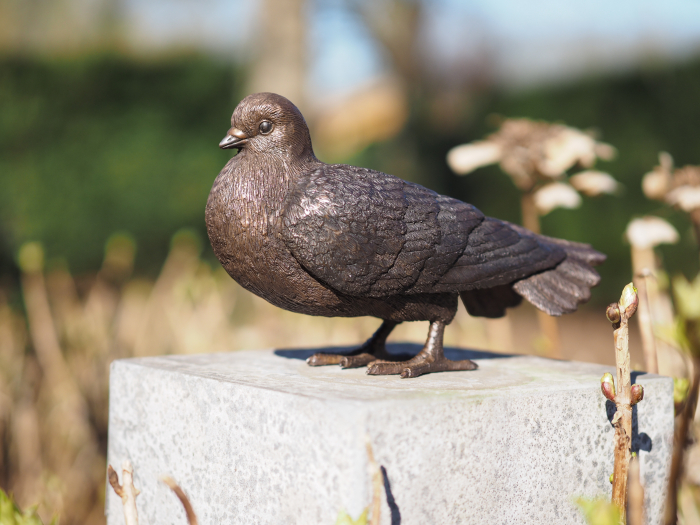 Statuie bronz, Porumbel 17 x 10 x 27 cm [6]
