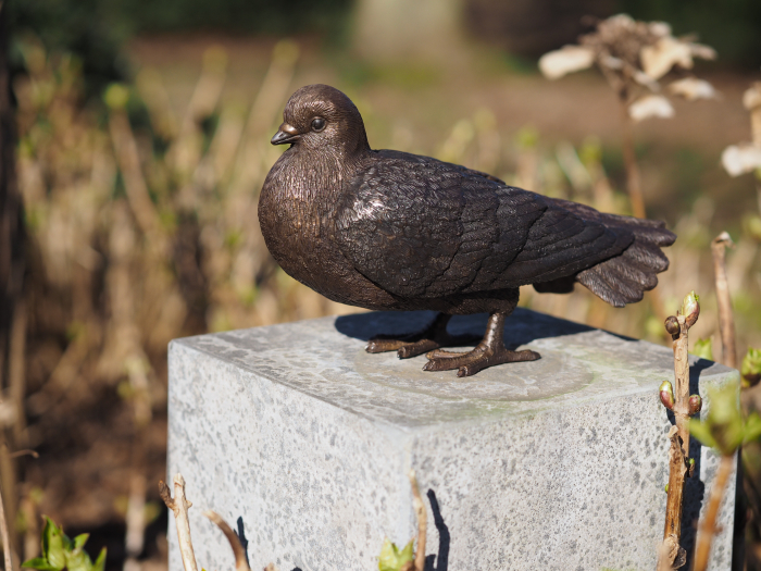 Statuie bronz, Porumbel 17 x 10 x 27 cm [2]
