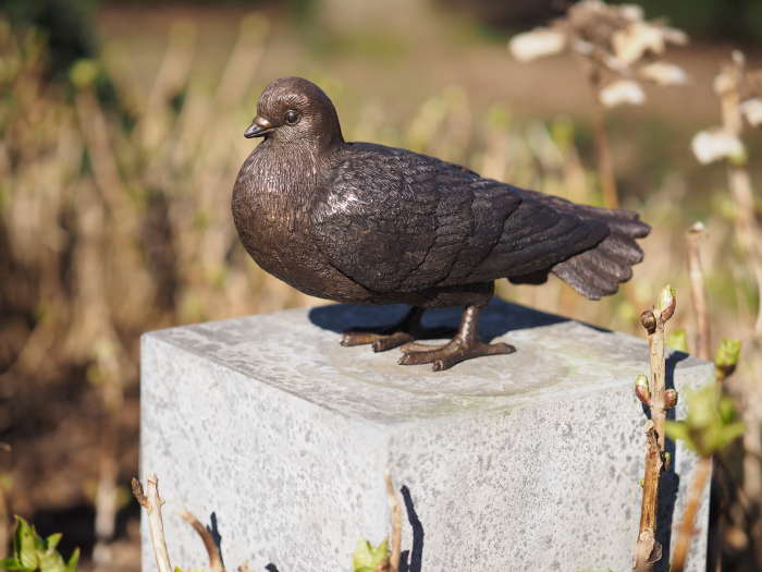 Statuie bronz, Porumbel 17 x 10 x 27 cm [3]