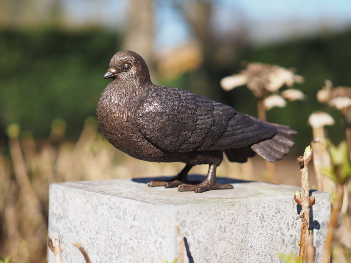 Statuie bronz, Porumbel 17 x 10 x 27 cm [4]