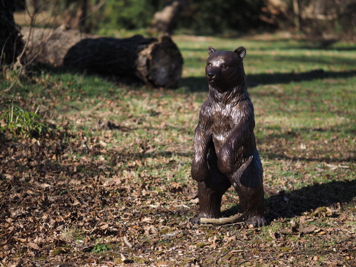 Statuie bronz, Pui de urs [3]