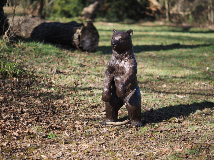 Statuie bronz, Pui de urs [5]