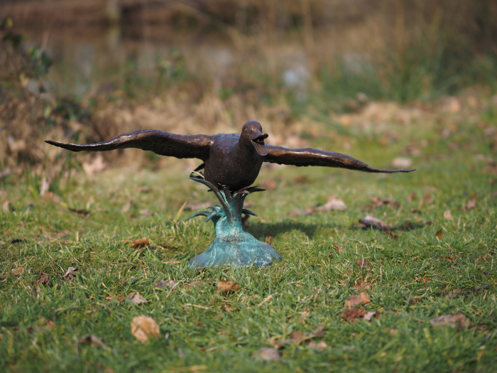 Statuie bronz, Rață [4]