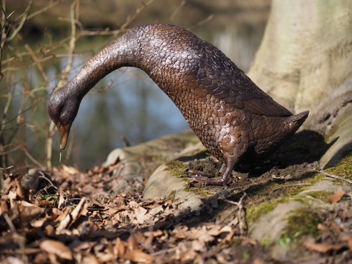 Statuie bronz, Rață [7]