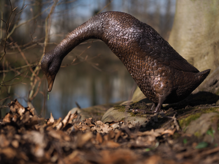 Statuie bronz, Rață [2]