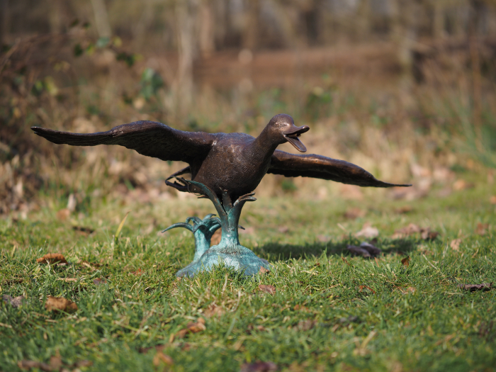 Statuie bronz, Rață [3]
