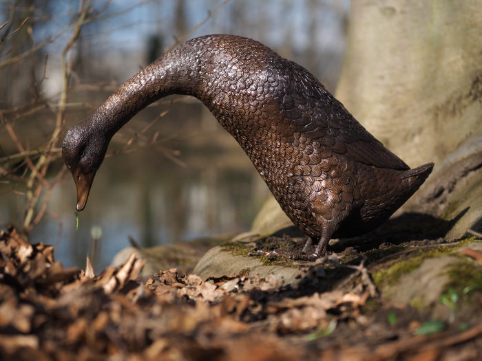 Statuie bronz, Rață [4]
