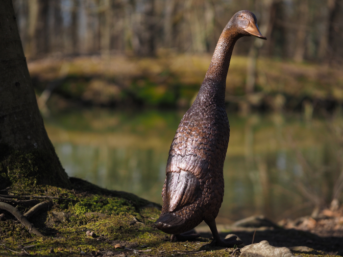 Statuie bronz, Rață cu capul în jos [4]