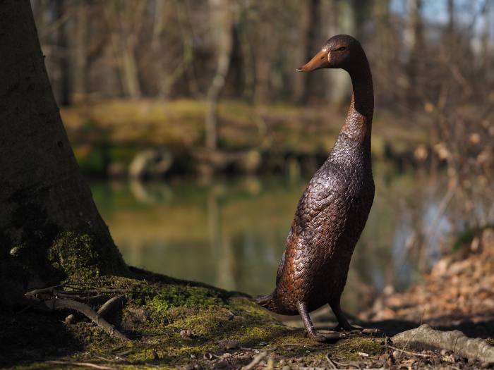 Statuie bronz, Rață cu capul în jos [2]