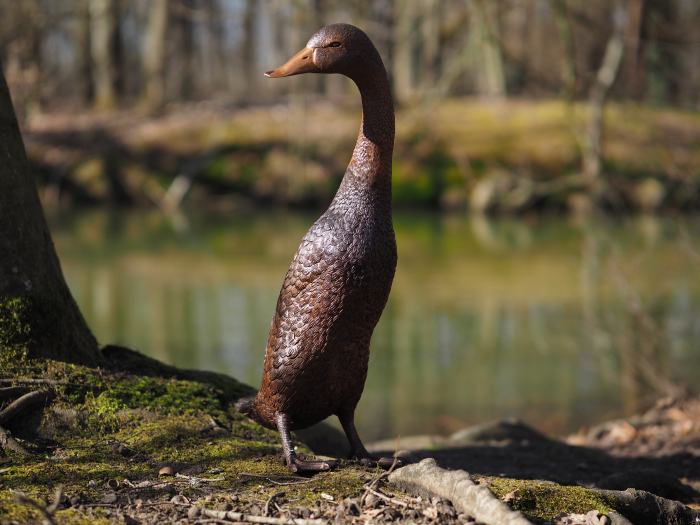 Statuie bronz, Rață cu capul în jos [5]