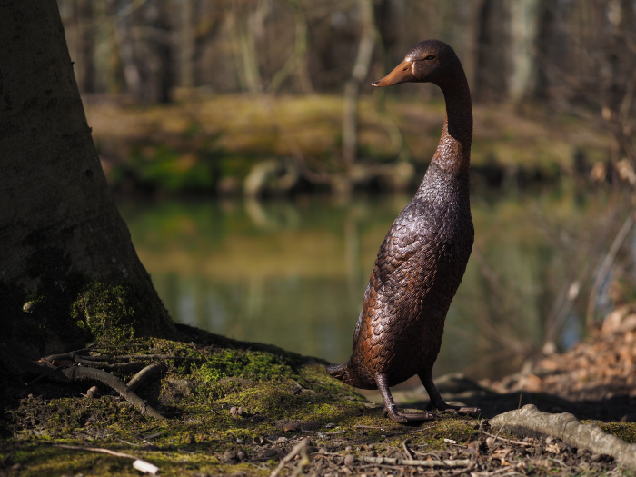 Statuie bronz, Rață cu capul în jos [3]