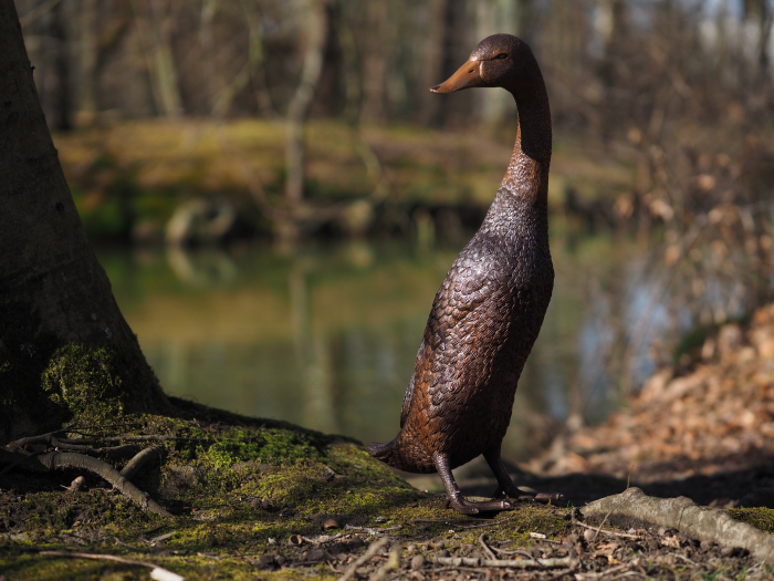 Statuie bronz, Rață cu capul în jos [6]