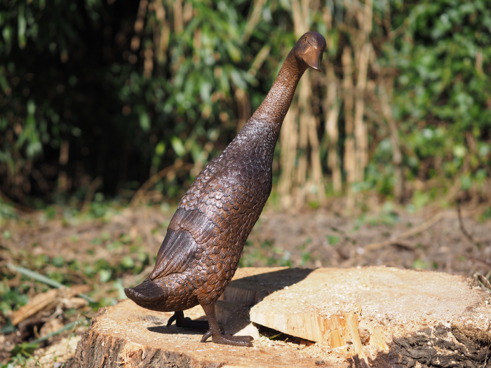 Statuie bronz, Rață cu capul în jos [7]