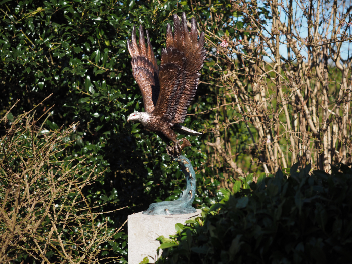 Statuie bronz, Vultur cu pește [3]