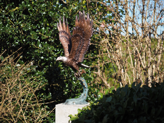 Statuie bronz, Vultur cu pește [2]