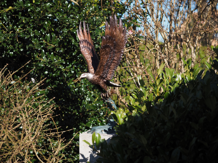 Statuie bronz, Vultur cu pește [5]