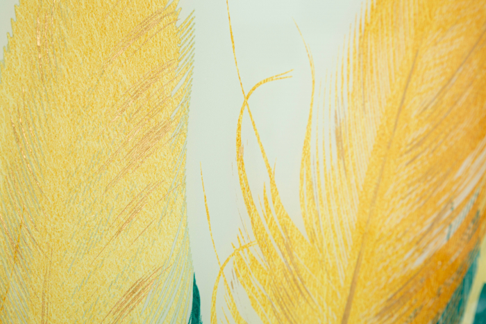 Tablou Feathers, Sticla/Aluminiu/Hartie, Multicolor, 80x120x3.5 cm [2]