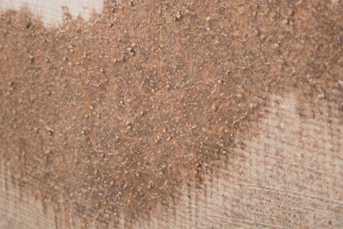 Tablou pictat manual Browny, Lemn/Canvas, Multicolor, 100x80x3.7 cm [4]