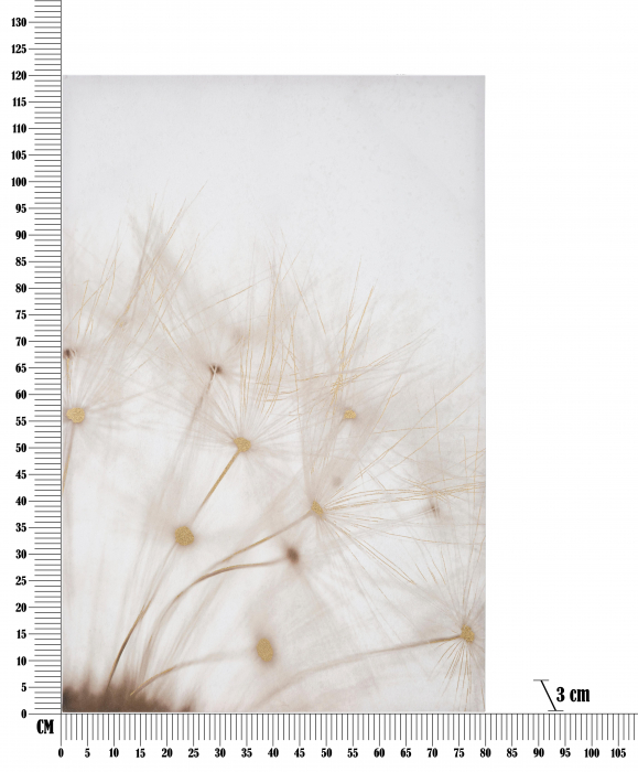 Tablou Tin, Lemn/Canvas, Multicolor, 120x80x3 cm [6]