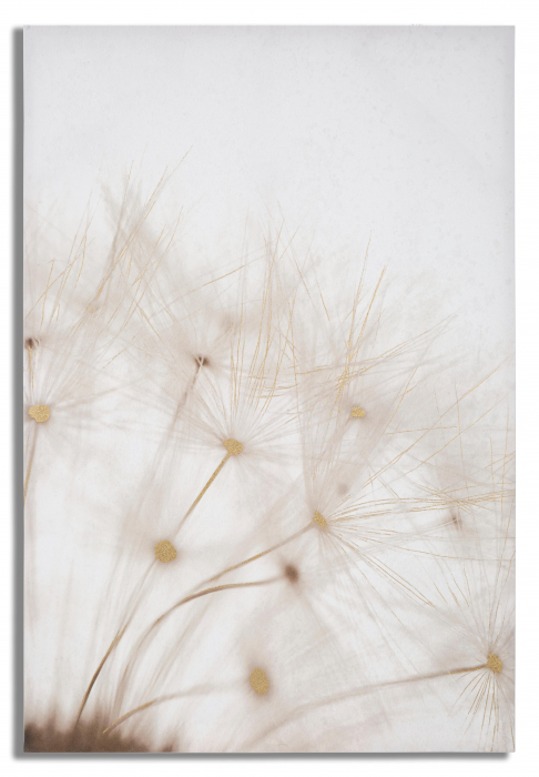 Tablou Tin, Lemn/Canvas, Multicolor, 120x80x3 cm [5]