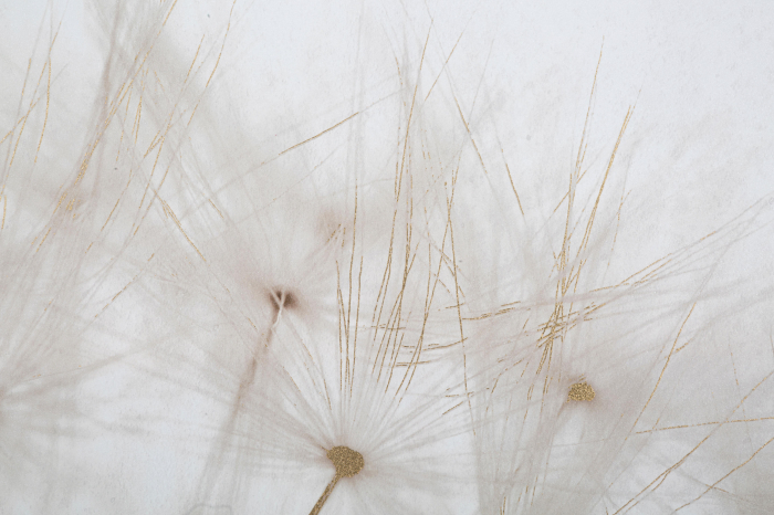 Tablou Tin, Lemn/Canvas, Multicolor, 120x80x3 cm [4]