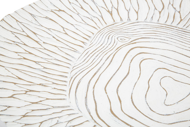 Tava decorativa Tray, Rasina, Alb, 6x37x34 cm [6]