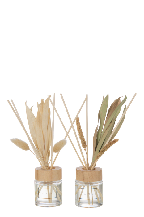 Ulei parfumat, Ass2 [2]