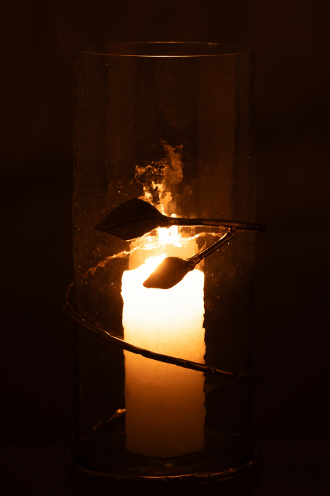 Vază, Leaf Wide Sticlă/Fier Transparent/Auriu, L 15| W 15| H 40 cm [3]