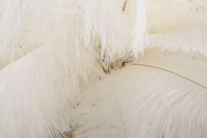 Veioză, Palm, Alb, Cm Ø 40X55 [5]