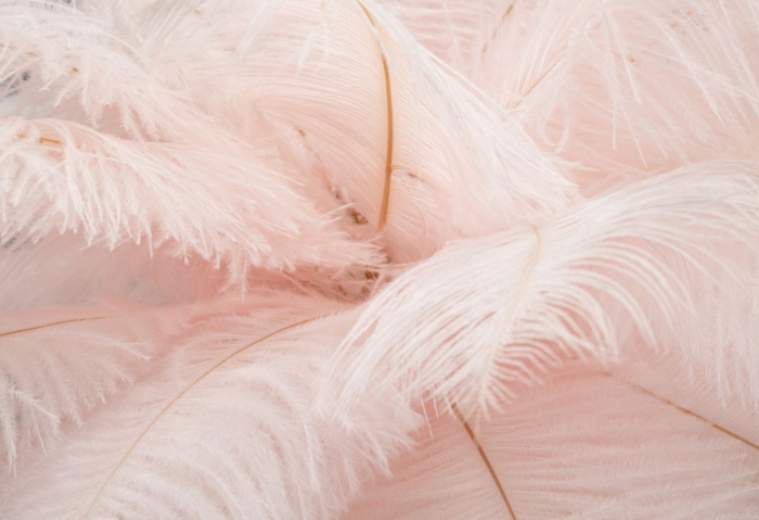 Veioză, Palm, Roz, Cm Ø 40X55 [4]