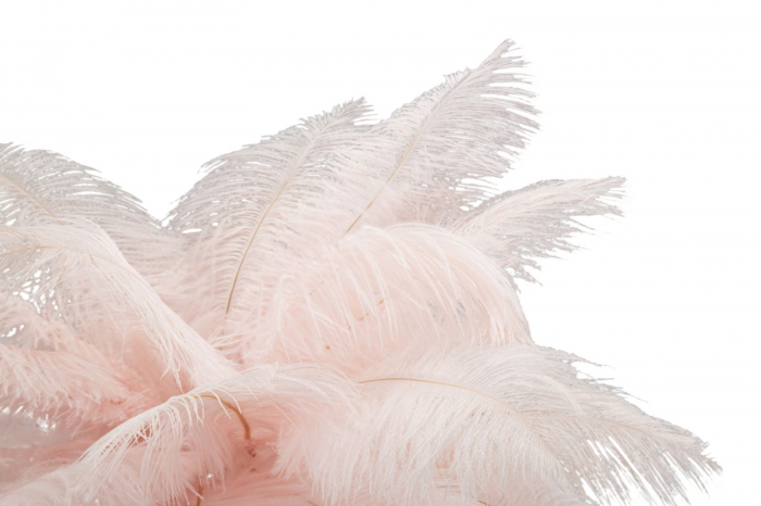 Veioză, Palm, Roz, Cm Ø 40X55 [5]