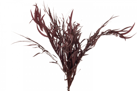 Plante artificiale si uscate - Buchet eucalipt artificial, Rachita/Bambus, Rosu, 20x20x87 cm