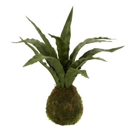 Plante artificiale si uscate - Bulb artificial, Plastic, Verde, 32x30x35 cm
