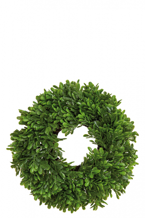 Plante artificiale si uscate - Coronita BUCHS, plastic, 30 cm