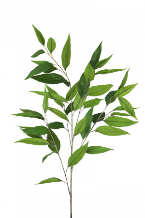 Plante artificiale si uscate - Creangă, Mirt, Sintetică, verde, PU 12, H. 99 cm