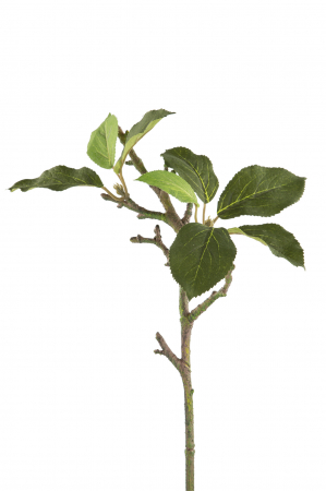 Plante artificiale si uscate - Crenguta artificiala Appleleaftwist, Fibre artificiale, Verde, 39 cm