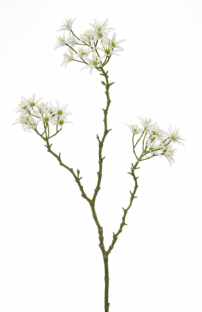 Plante artificiale si uscate - Crenguta flori artificiale Allium, Fibre artificiale, Alb, 69 cm