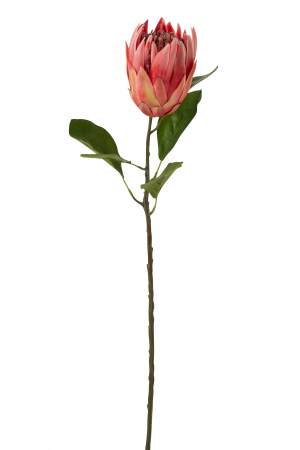 Plante artificiale si uscate - Crenguta artificiala, Plastic, Rosu, 20x11x67 cm