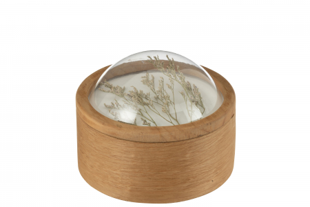 Cutii pentru bijuterii - Cutie, Lemn, Cereale, S