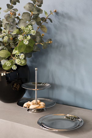 Tavi si platouri - Etajera Samuel, Otel inoxidabil, Argintiu, 6.50x21.50x21 cm