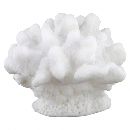 Accesorii - Coral Mare