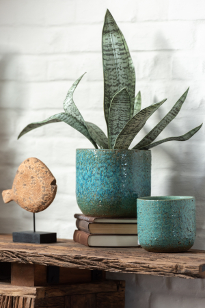 Mare si soare - Figurina, FISH, SET2